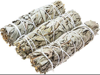 White Sage Bundle Pack (3 in pack)