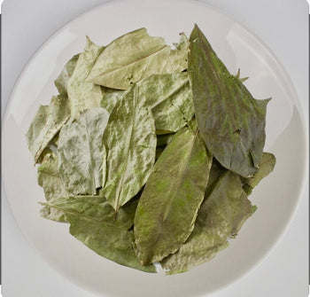 Organic Soursop Tea Leaves