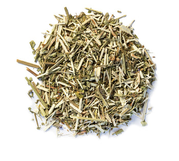 Organic Blue Vervain Tea